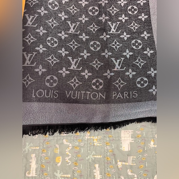 Louis Vuitton Shawl (PRICE FIRM) - Picture 1 of 7